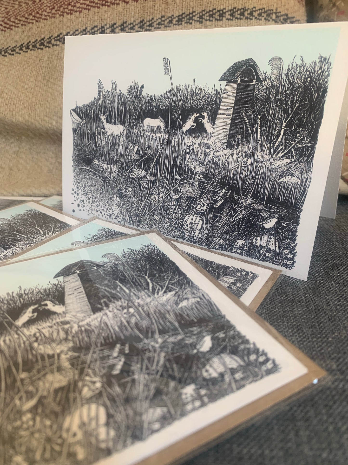 Wicken Fen - Glicee print -A3