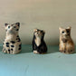 Cat Portrait Miniatures