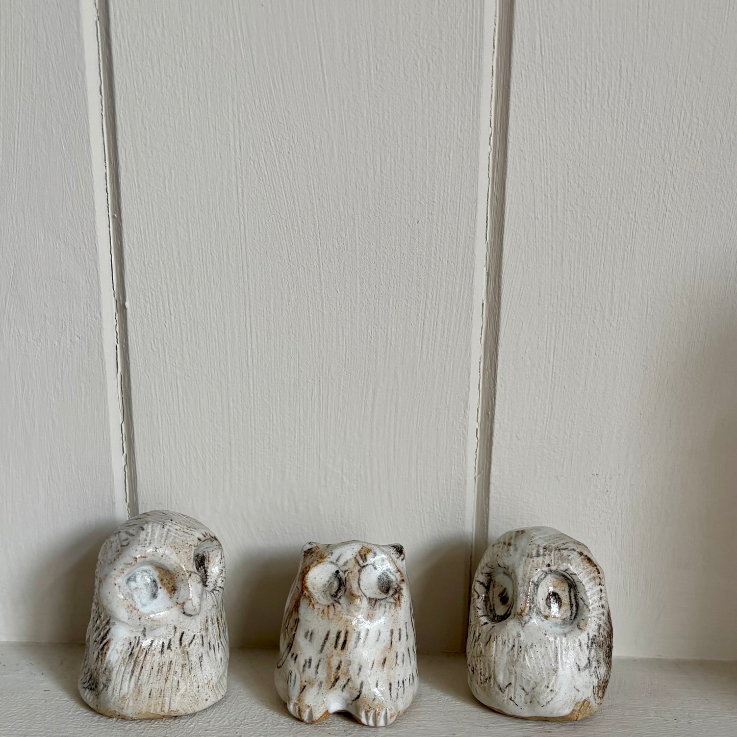 Miniature -  owls