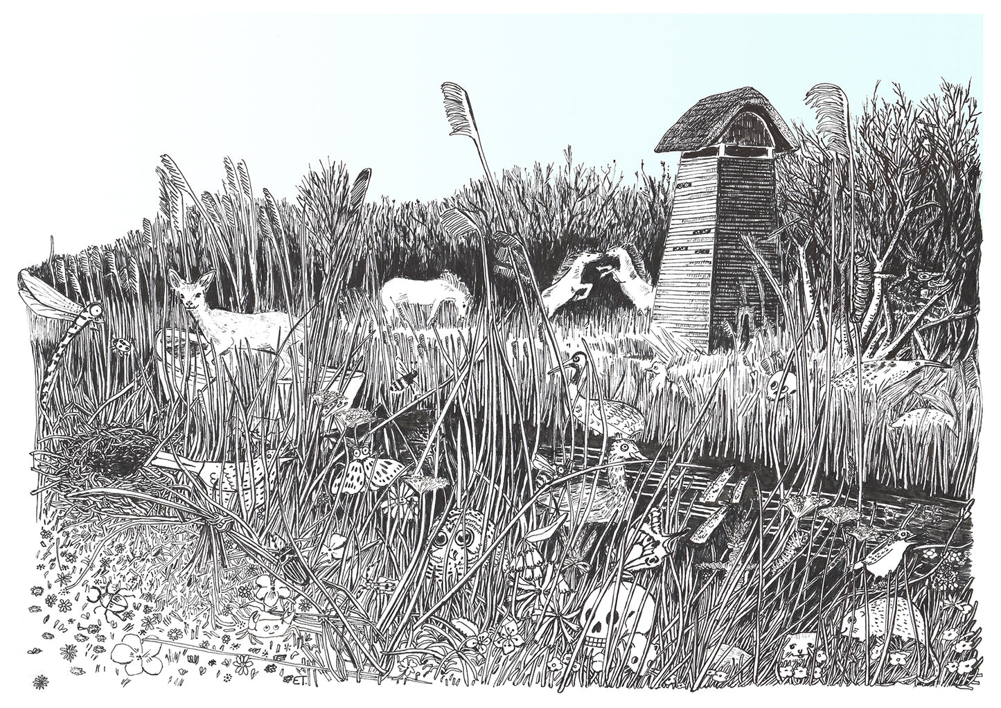 WICKEN FEN - GREETING CARD  - A5