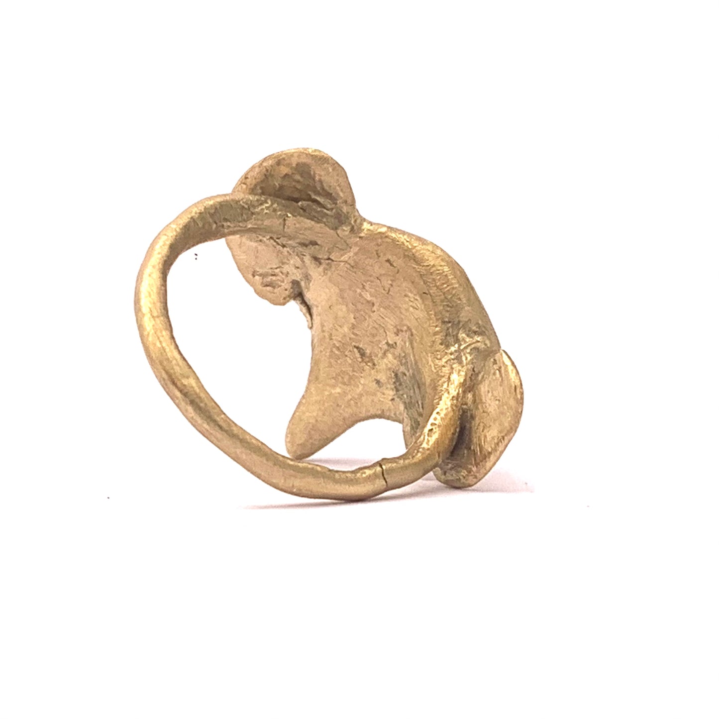 Red eyed elephant ring size