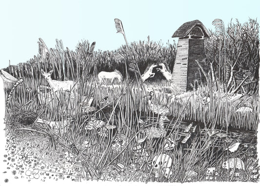 Wicken Fen - Glicee print -A3